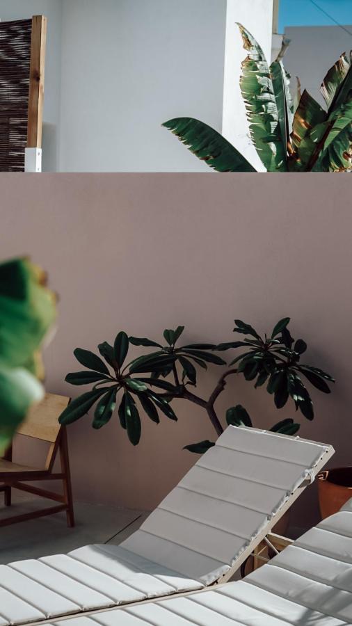 Suites 9 Malaga, Three Unique Suites With Private Plunge Pool المظهر الخارجي الصورة